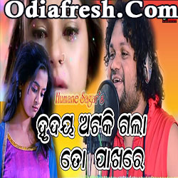 Hrudaya Ataki Gala To Pakhare,Odia Song (Humane Sagar)